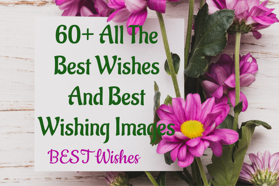 All the Best Wishes and Best Wishing Images is a collection of vivid and upbeat photos intended to offer well wishes and good luck.